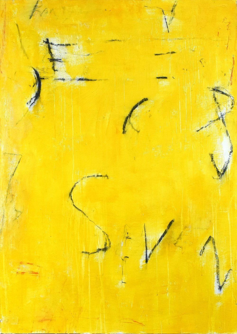 EquationInYellow48x36-2019