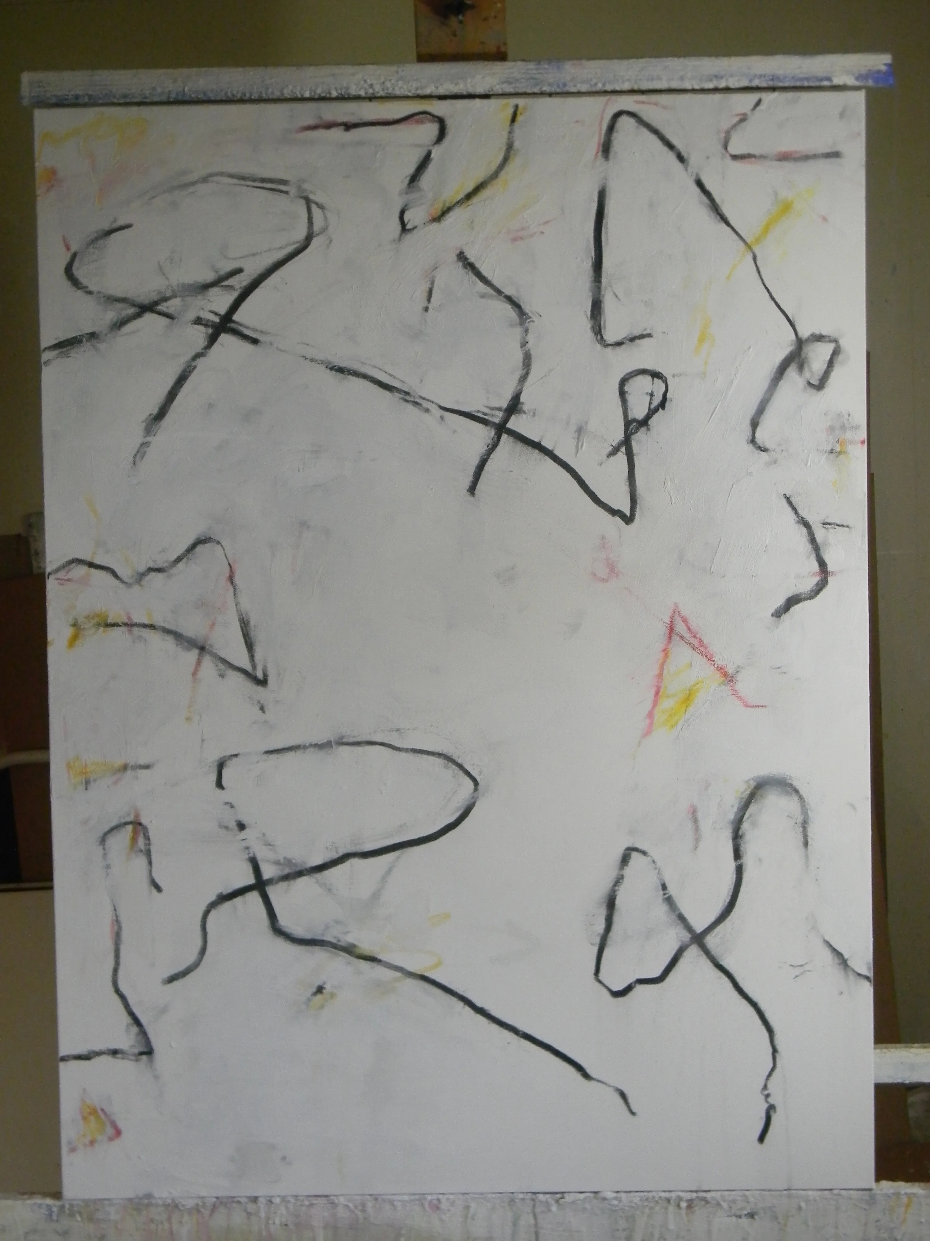 DSCN6391